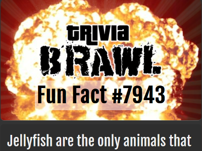 Trivia Brawl Fun Facts
